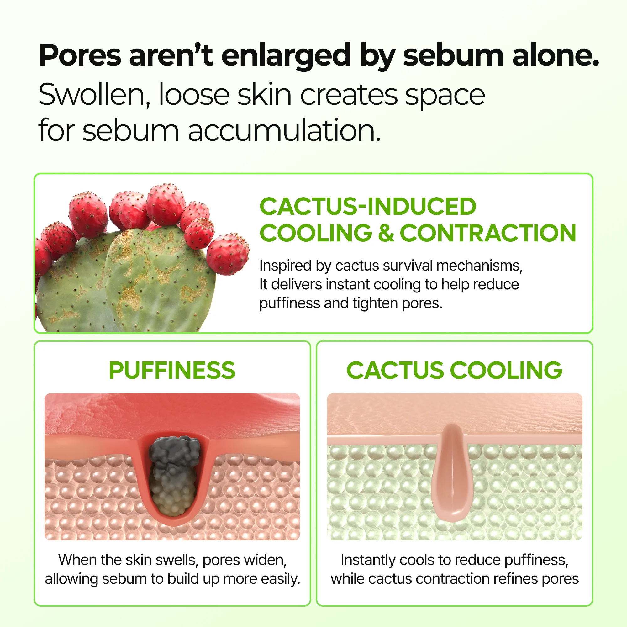 CACTIX Pore Relief Multi Balm - Image 3