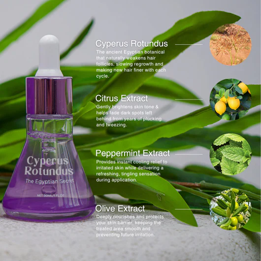 Cyperus Rotundus Skin Serum✨ - Image 9
